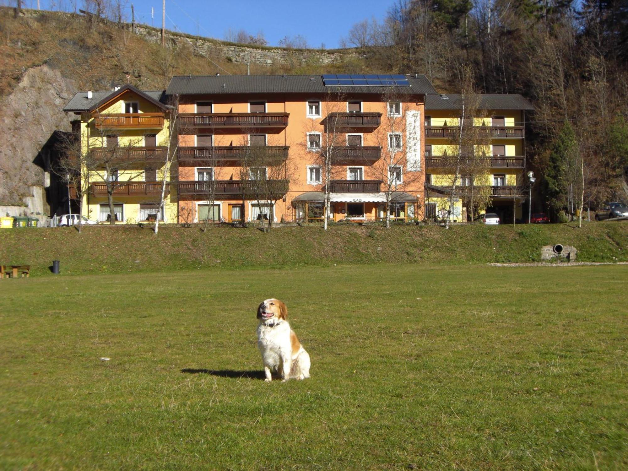 Hotel Miramonti Bedollo Buitenkant foto